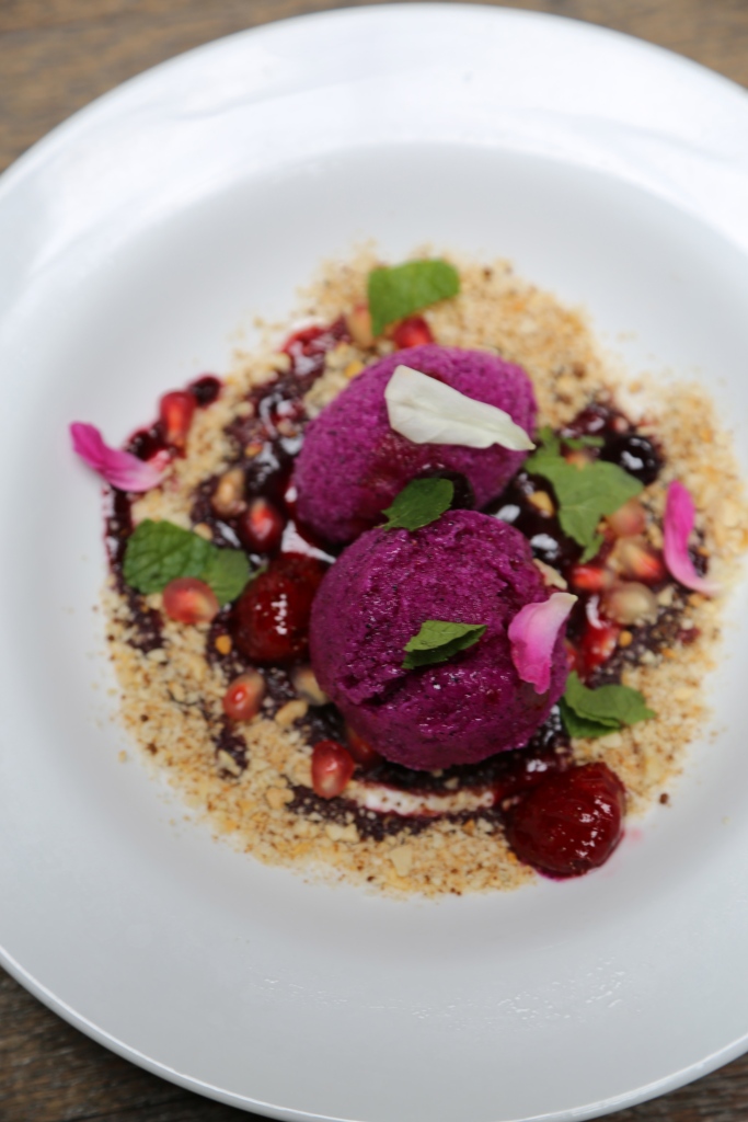 Dragon Fruit Sorbet on Mixed Berry Compote and Roasted Crushed Nuts